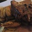 PBG Marriott bluefire grill steak potatoes dinner